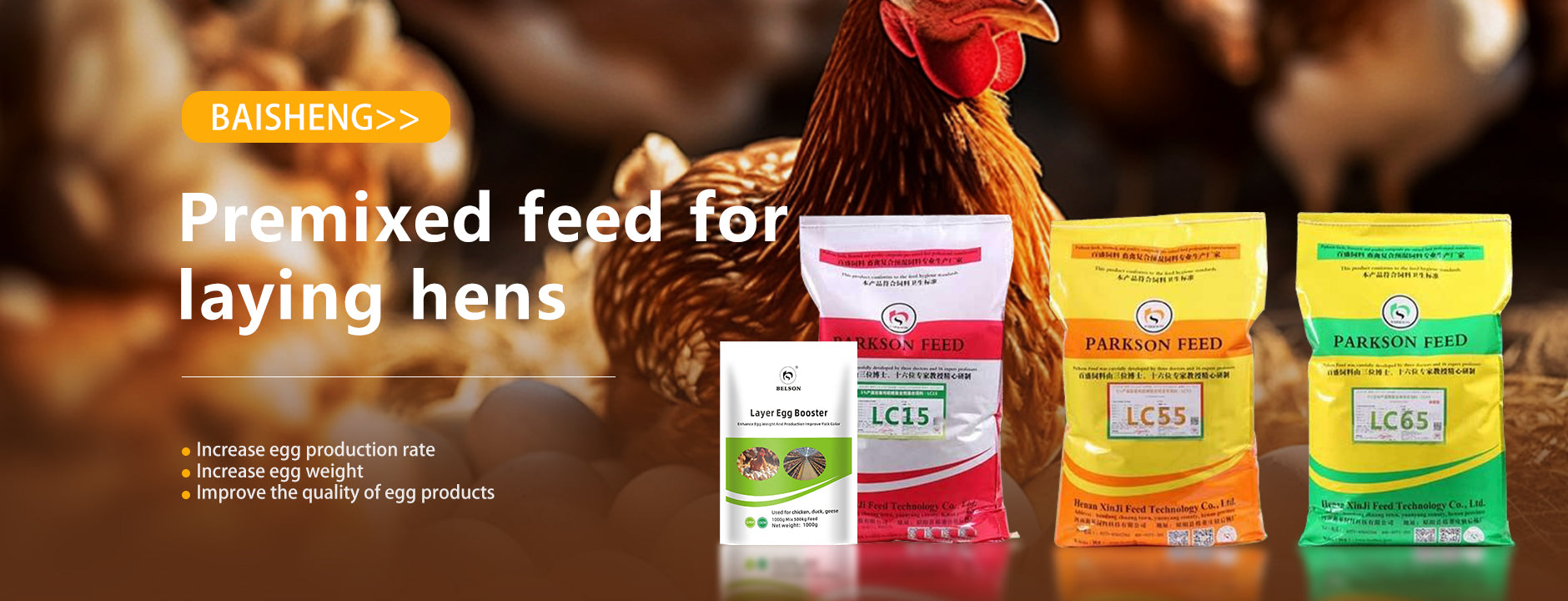 baishengfeed.com