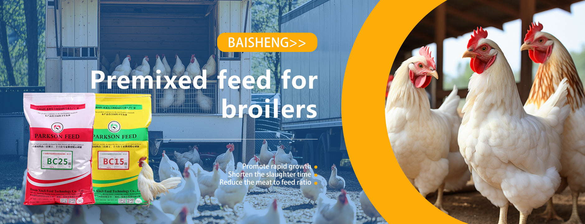baishengfeed.com